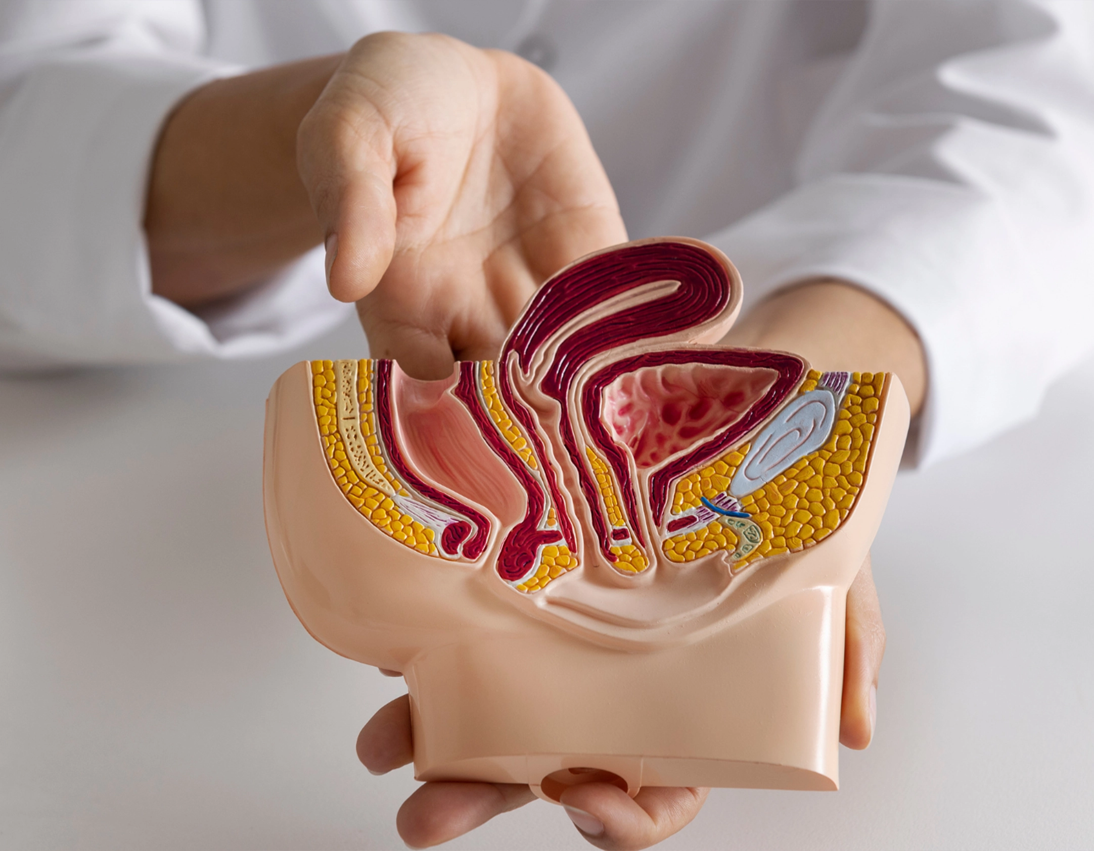 Frame_41 16 copiar - Clínica Bem Mais - Agora Somos Bem Mais Saúde e Cuidado